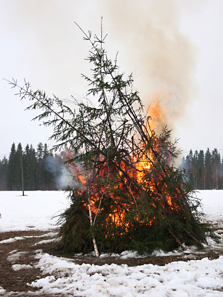 P&auml;&auml;si&auml;isvalakia